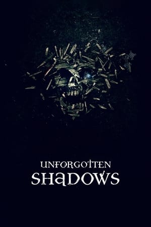 Nonton Online Unforgotten Shadows (2013) indoxxi